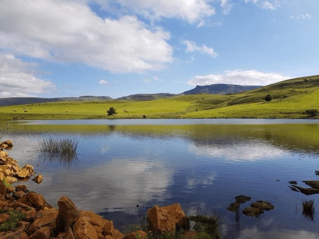 Farm Ranch in Nottingham Road, KwaZulu-Natal, South Africa 4 - 17023875
