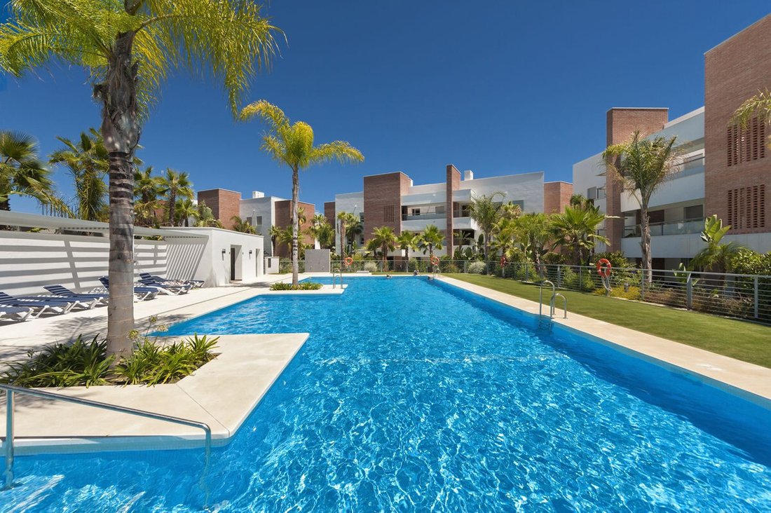 Apartment in Centro, Malaga, Spain 1 - 17025892