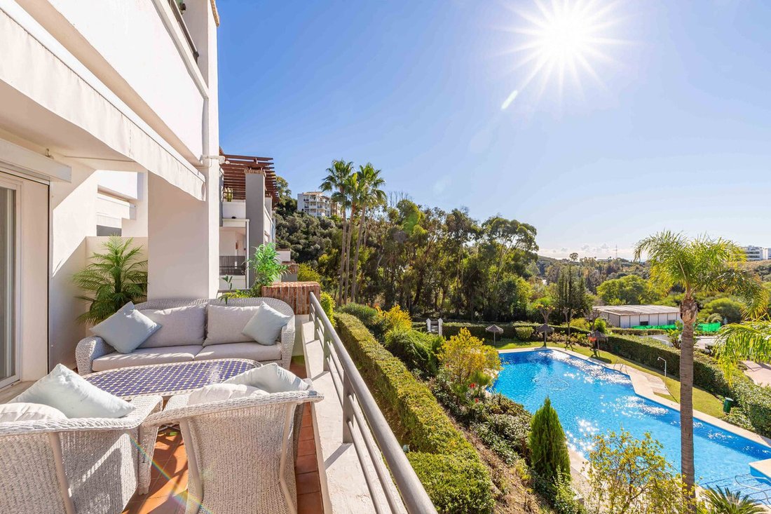 Apartment in Centro, Malaga, Spain 1 - 17025871