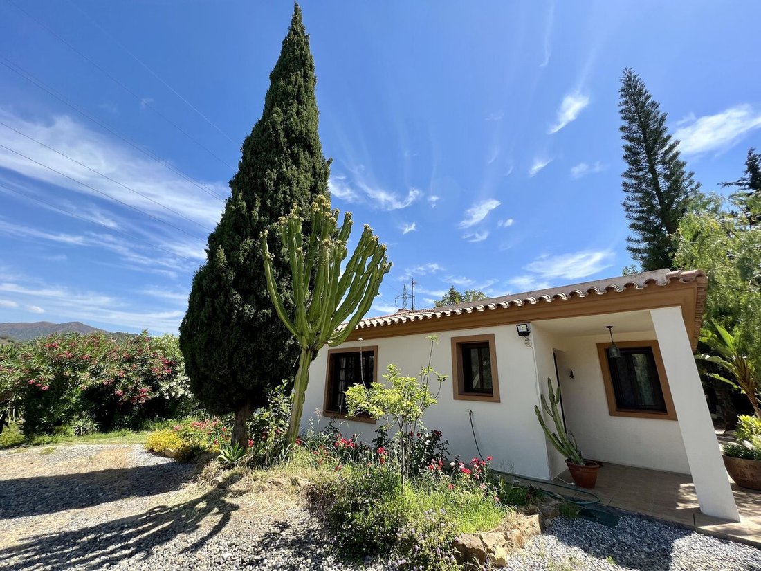Villa in Estepona, Andalusia, Spain 3 - 17029478