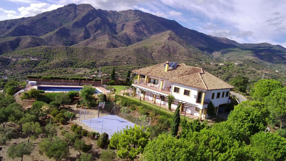 Finca in Estepona, Andalusia, Spain 2 - 17025250