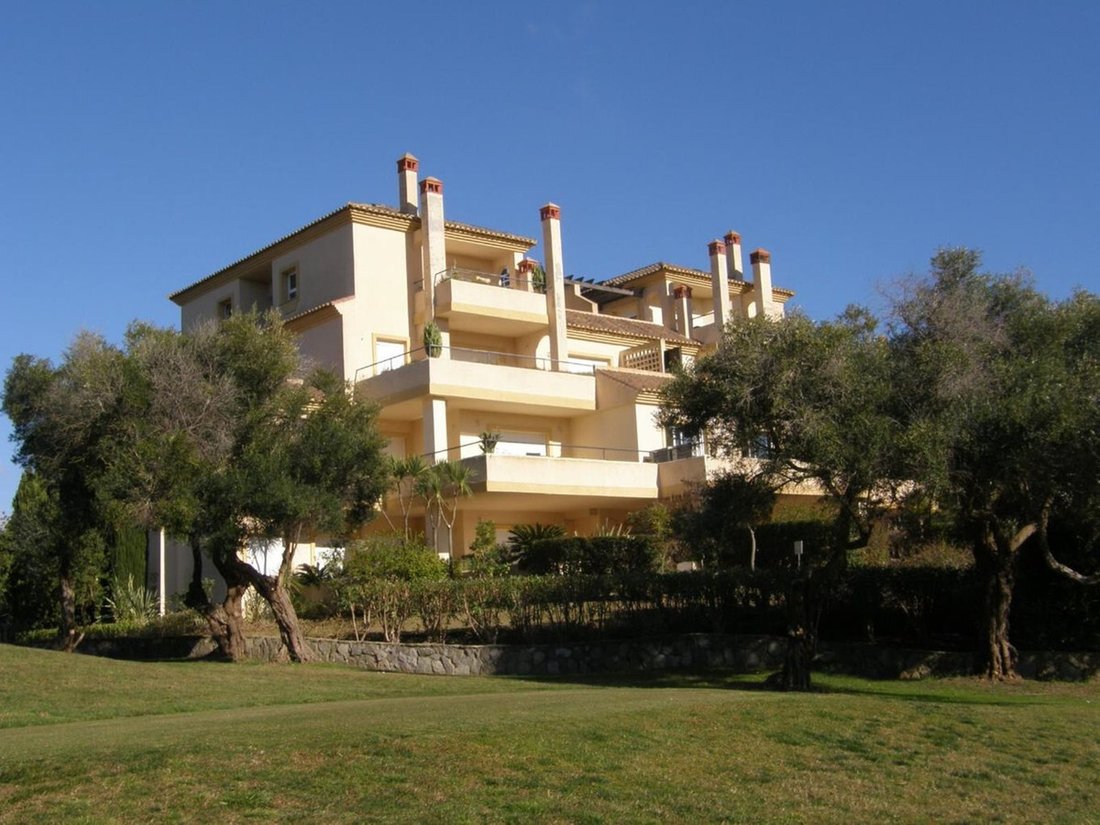 Apartment in Centro, Malaga, Spain 5 - 17025479