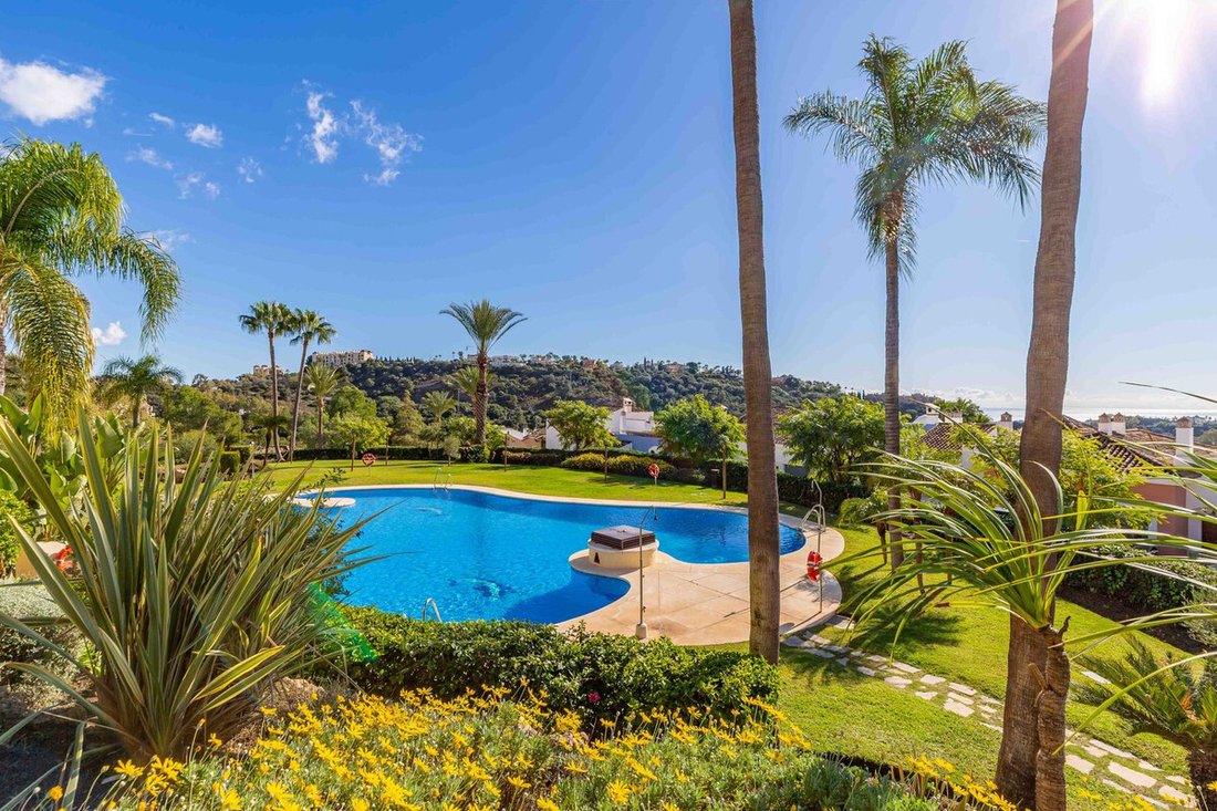 Apartment in Centro, Malaga, Spain 1 - 17025844