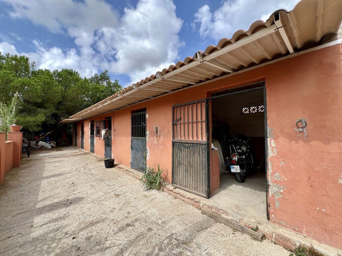 Villa in Centro, Malaga, Spain 4 - 17025363