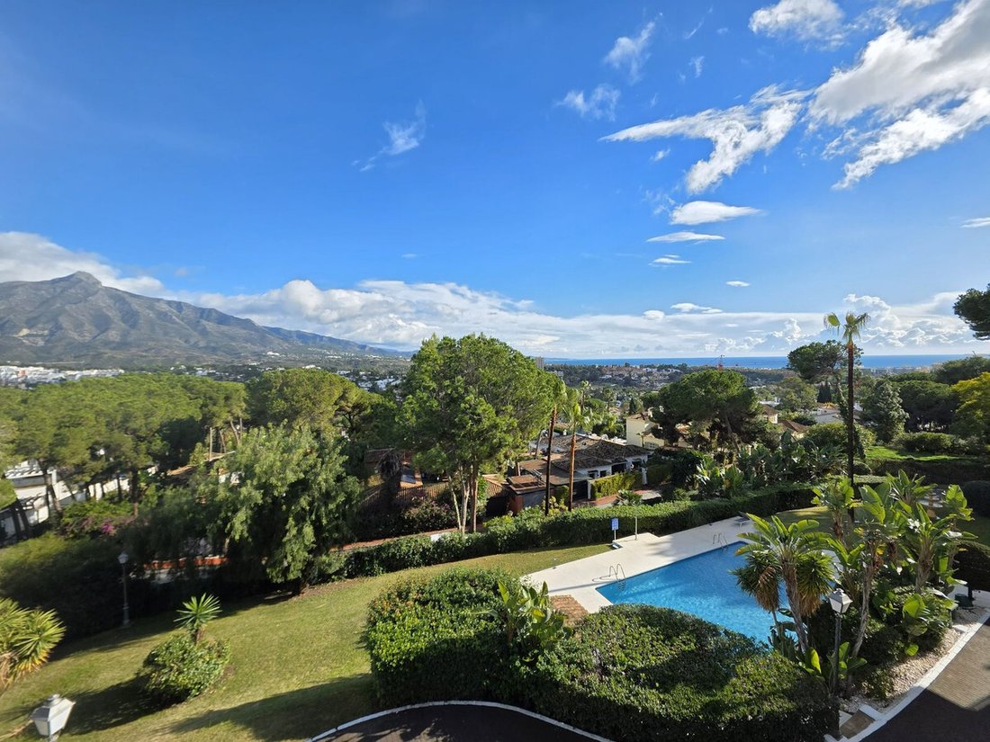 Apartment in Puerto Banus, Marbella, Spain 5 - 17025760