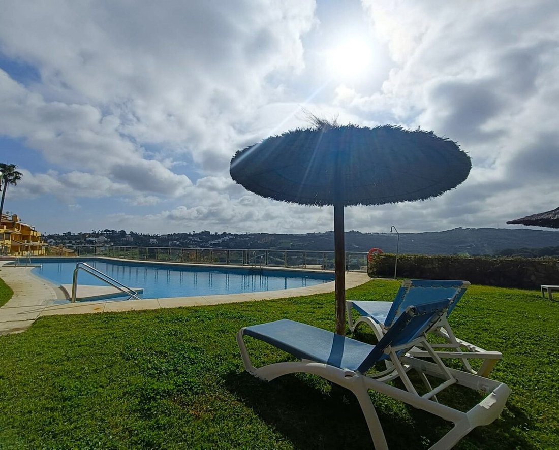Apartment in Centro, Malaga, Spain 3 - 17025750
