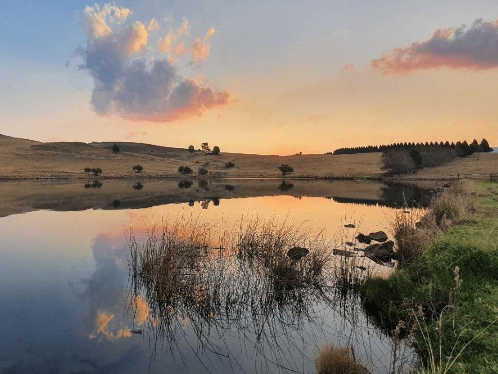 Farm Ranch in Nottingham Road, KwaZulu-Natal, South Africa 5 - 17023875