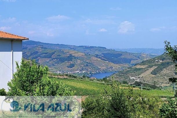 Farm Ranch in Mesao Frio (Santo Andre), Vila Real District, Portugal 4 - 17024969