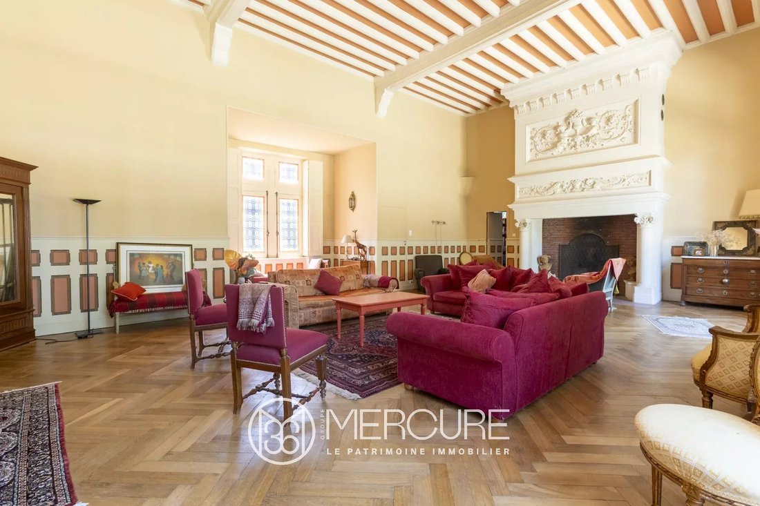 Castle in Arrondissement of Castres, Occitania, France 4 - 15893627
