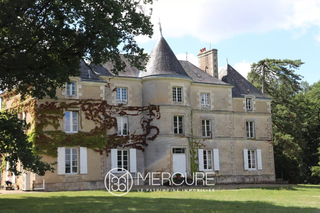 Castle in Poitiers, Nouvelle-Aquitaine, France 3 - 12207909