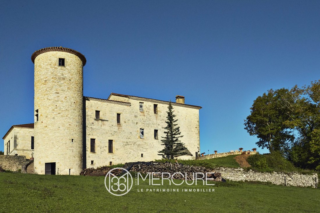 Castle in Septfonds, Occitania, France 2 - 16264095