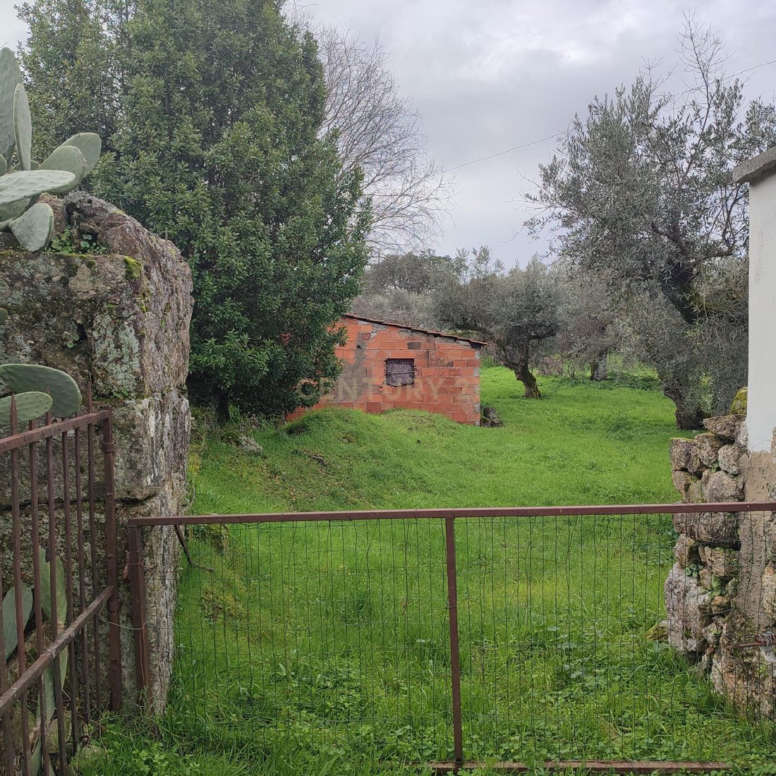 Land in Castelo Branco, Castelo Branco District, Portugal 4 - 17023220