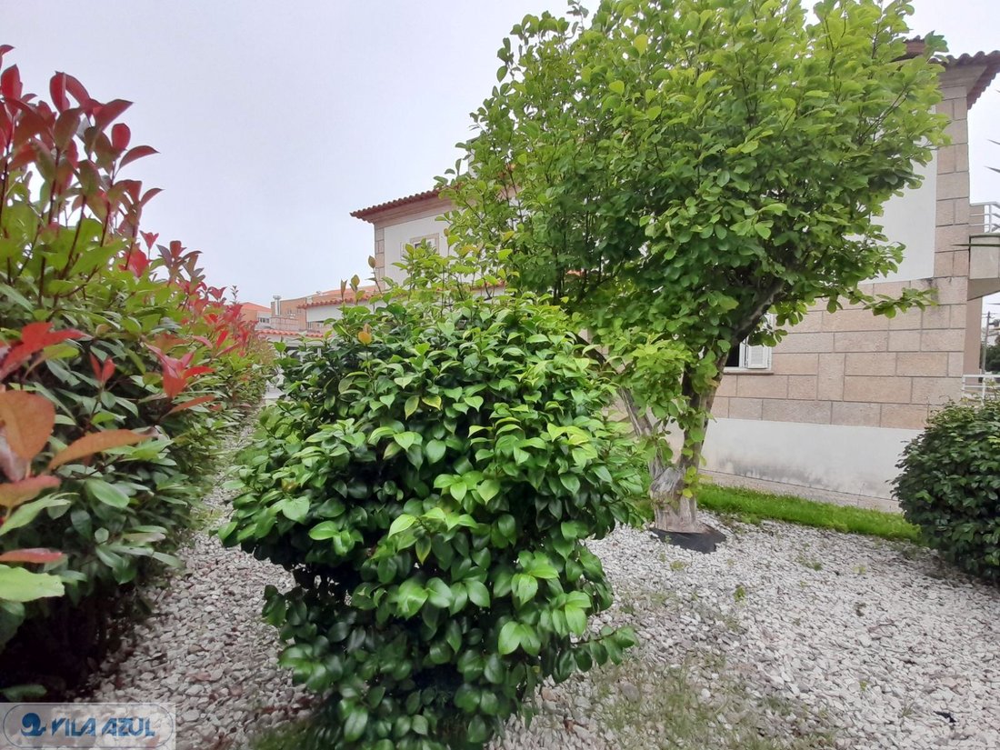 Townhouse in Senhora da Hora, Porto District, Portugal 5 - 17024985