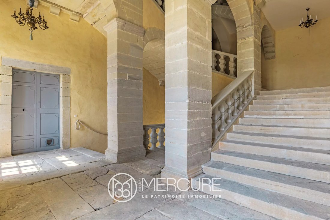 Castle in Lasbordes, Occitania, France 4 - 15468934