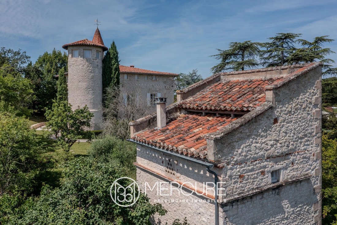 Estate in Fenols, Occitania, France 3 - 14940607
