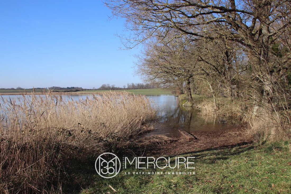 Land in Le Blanc, Centre-Val de Loire, France 2 - 15764831