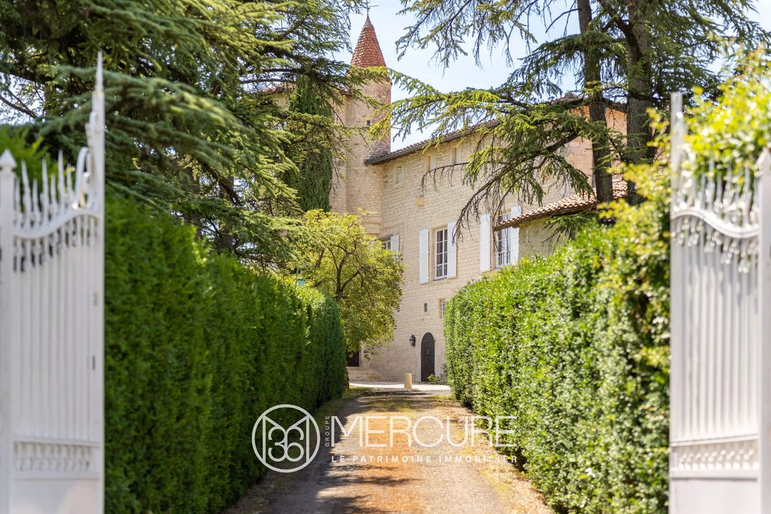 Estate in Fenols, Occitania, France 4 - 14940607