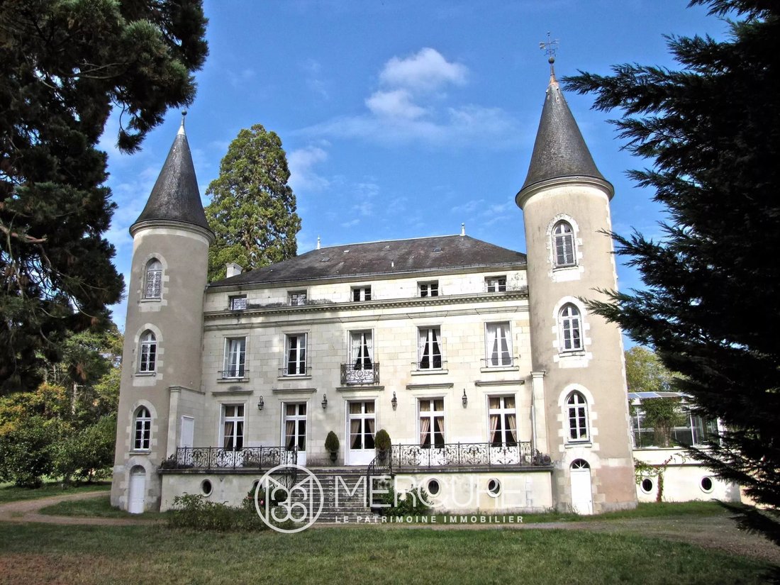 Castle in La Roche-Posay, Nouvelle-Aquitaine, France 2 - 14286568
