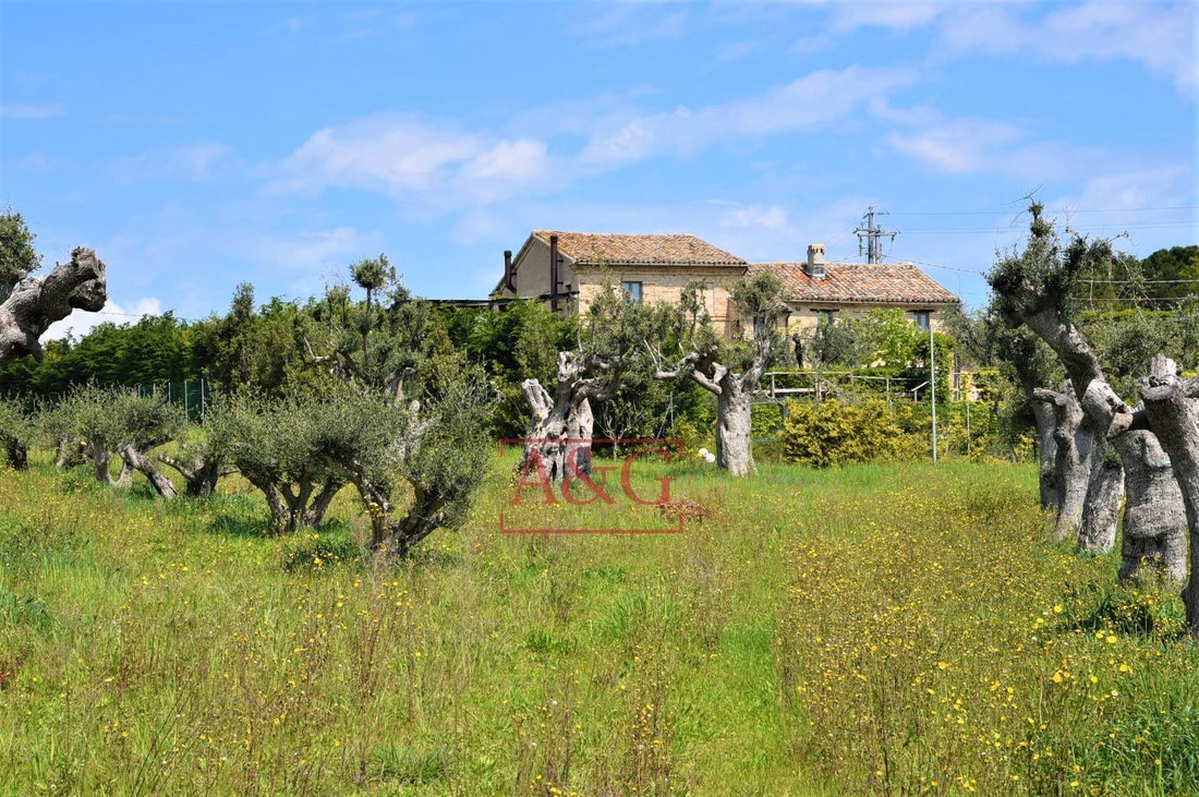 Country House in Recanati, Marche, Italy 5 - 17024199