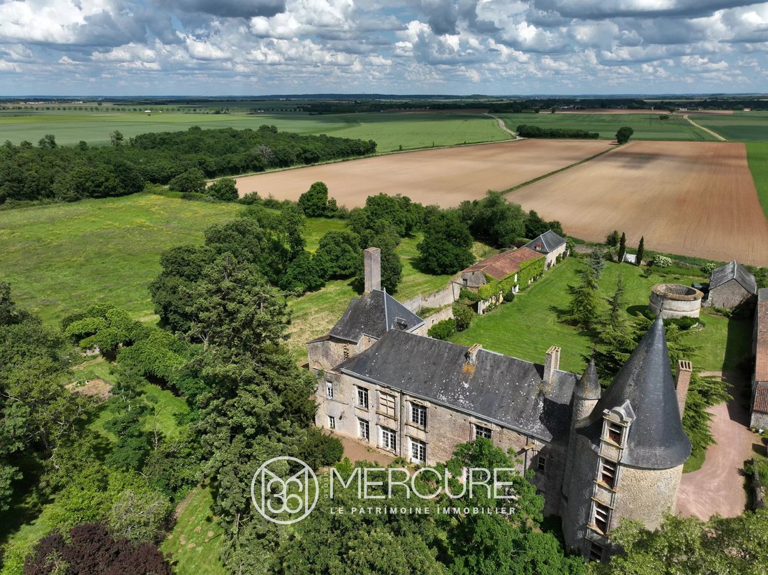 Castle in Jean Jaures-Les Maligrettes, Thouars, France 2 - 15764858