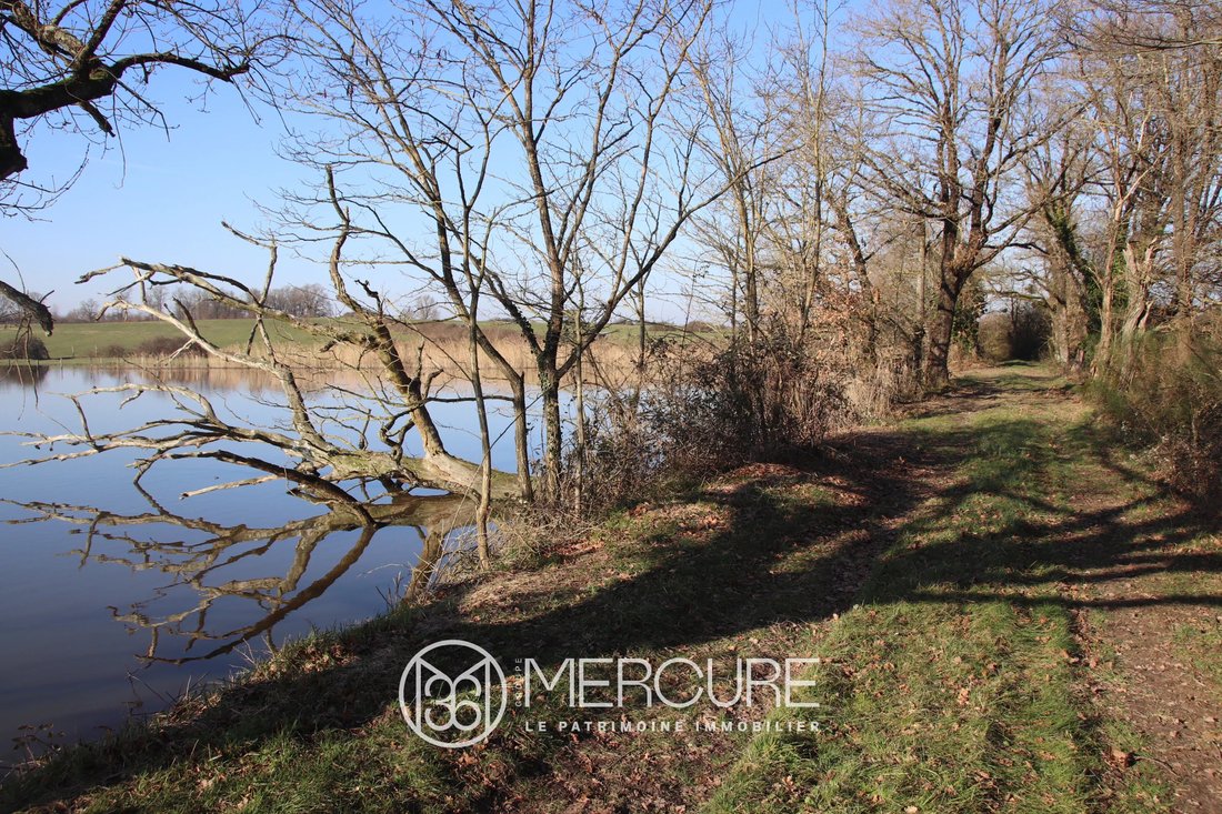 Land in Le Blanc, Centre-Val de Loire, France 4 - 15764831