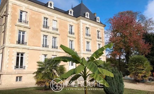 Estate in Chinon, Centre-Val de Loire, France 1