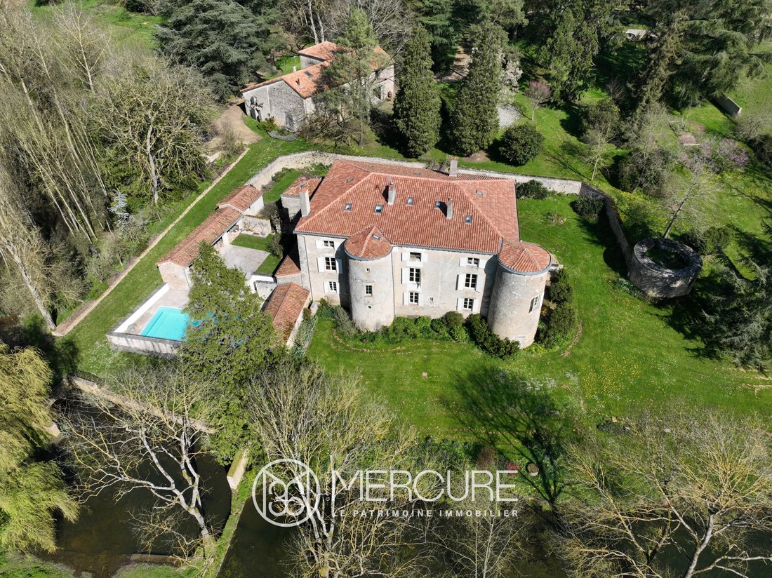 Castle in Latille, Nouvelle-Aquitaine, France 1 - 14045206