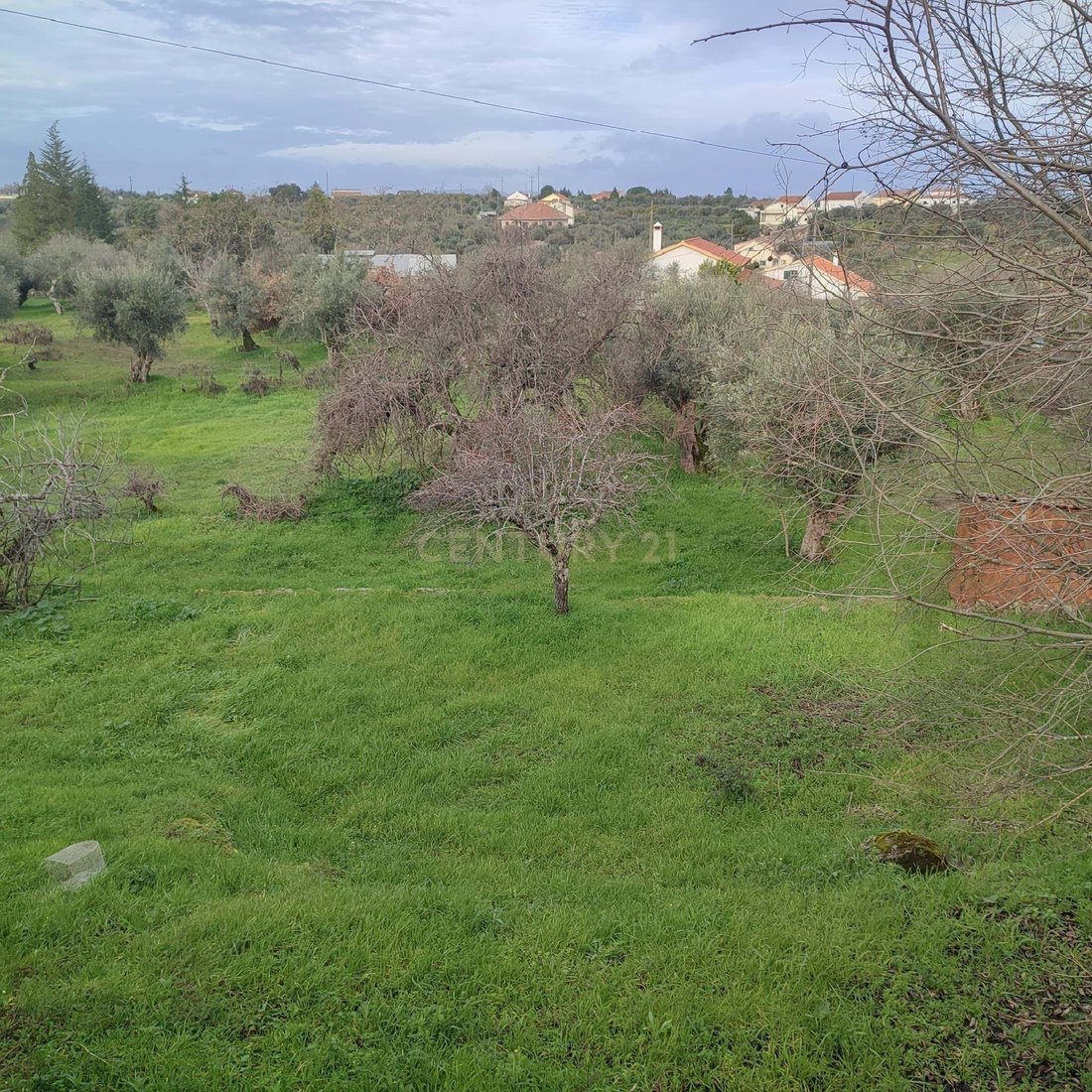 Land in Castelo Branco, Castelo Branco District, Portugal 3 - 17023220