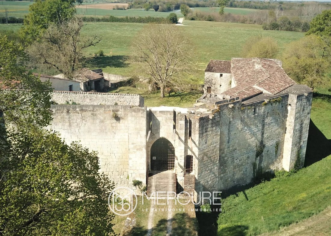 Castle in Centre, Saintes, France 1 - 16225908