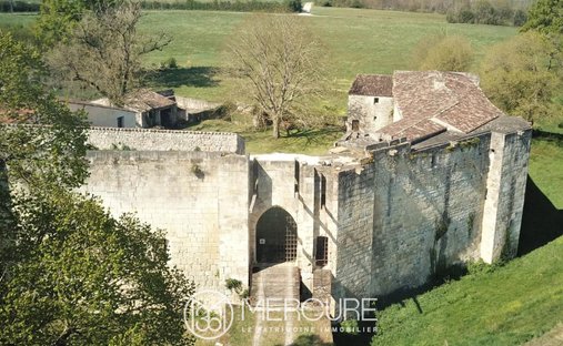 Castle in Centre, Saintes, France 1