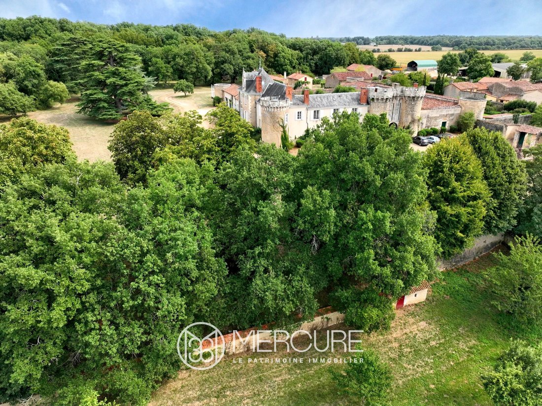 Castle in Poitiers, Nouvelle-Aquitaine, France 3 - 16739689