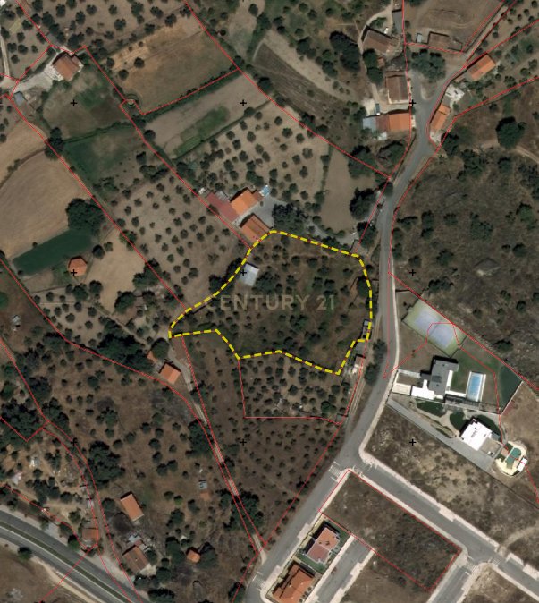 Land in Castelo Branco, Castelo Branco District, Portugal 1 - 17023220