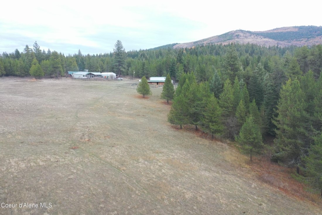 Emida, Idaho, United States 5 - 17022109