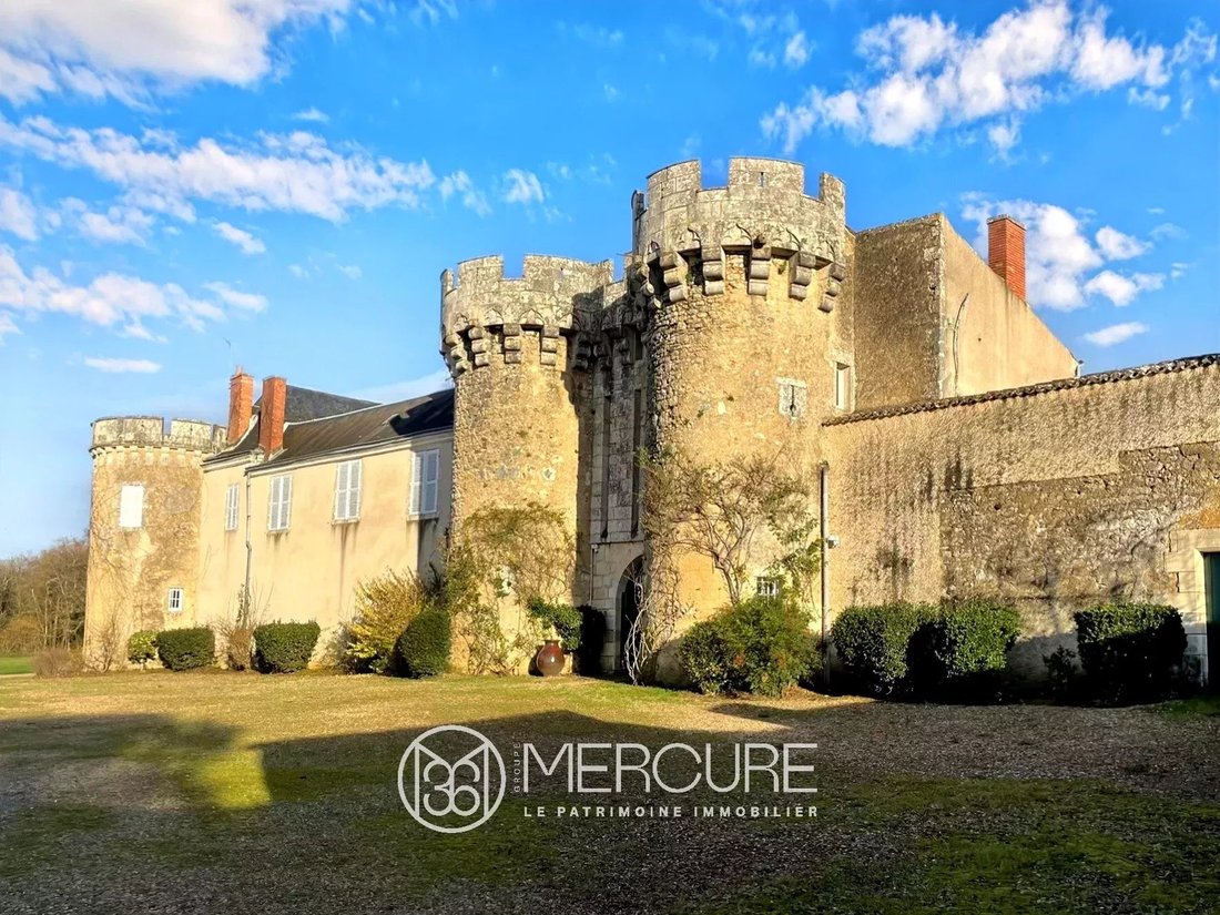 Castle in Poitiers, Nouvelle-Aquitaine, France 2 - 16739689