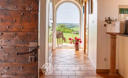 House in Massac-Seran, Occitania, France 1