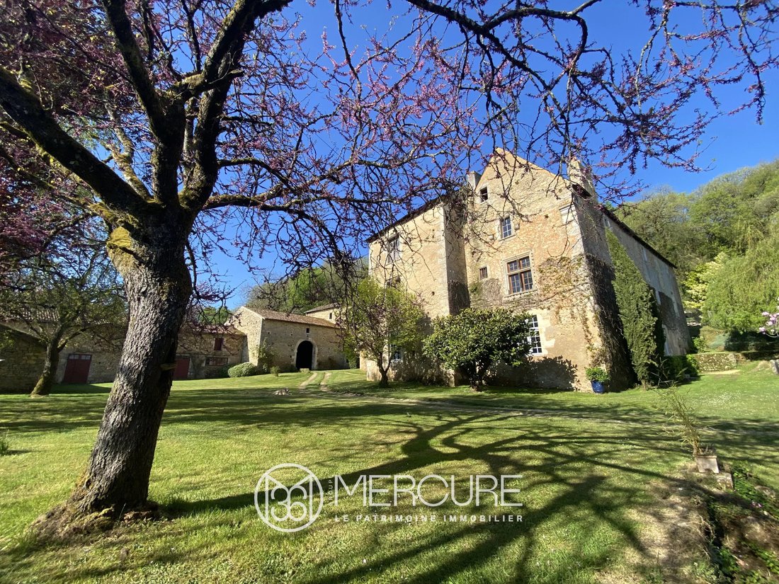 Castle in Poitiers, Nouvelle-Aquitaine, France 4 - 15764832