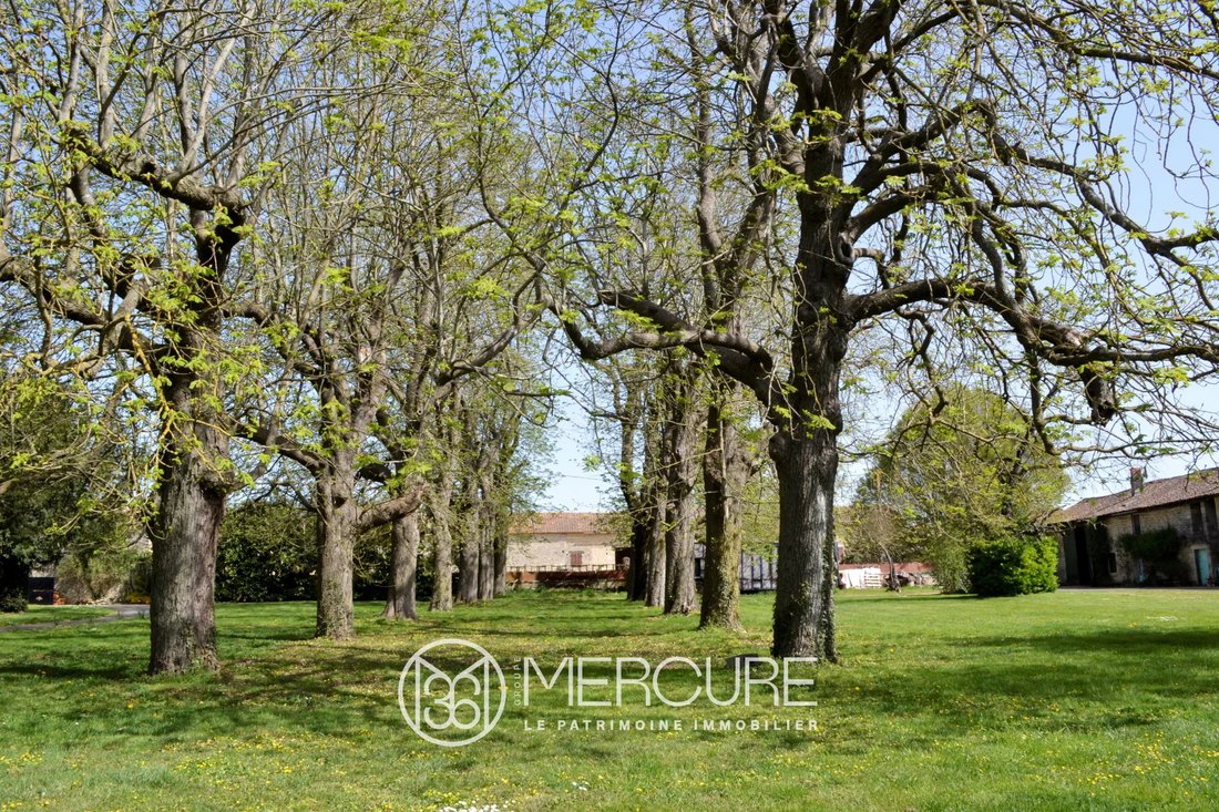 House in Chef-Boutonne, Nouvelle-Aquitaine, France 2 - 12207863