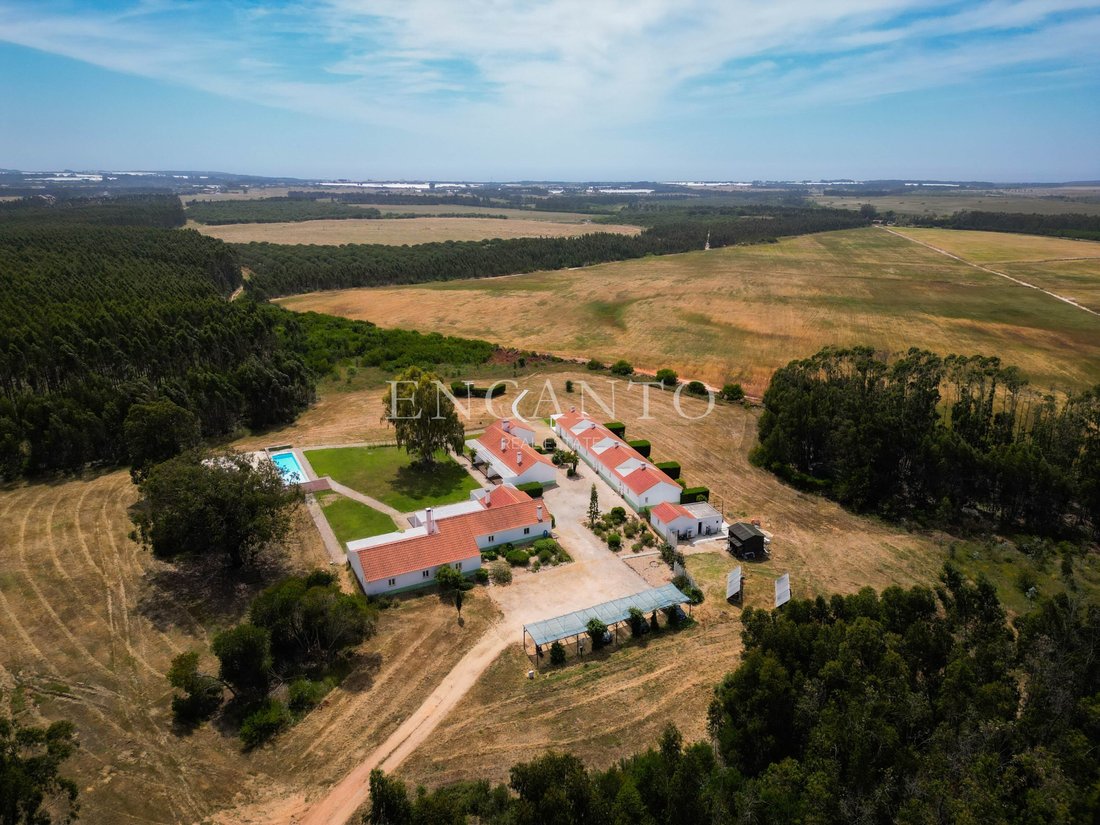 Finca in S.Teotónio, Beja District, Portugal 4 - 17020987