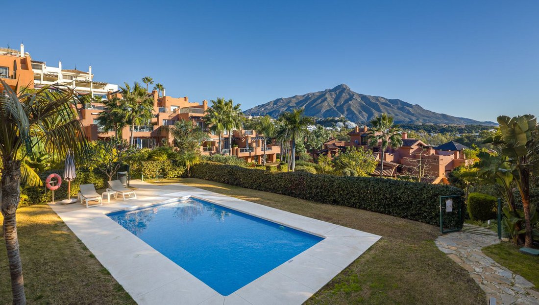 Apartment in Puerto Banus, Marbella, Spain 1 - 17021034