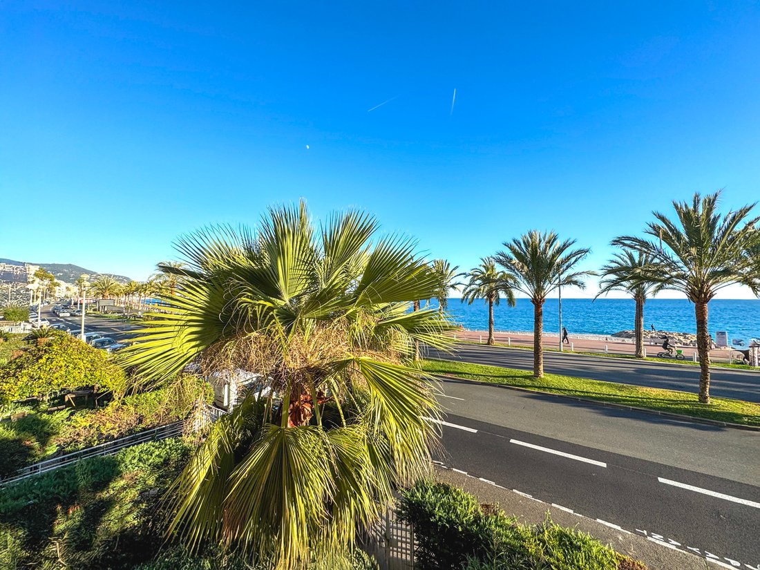 Apartment in Nice, Provence-Alpes-Côte d'Azur, France 2 - 17020902