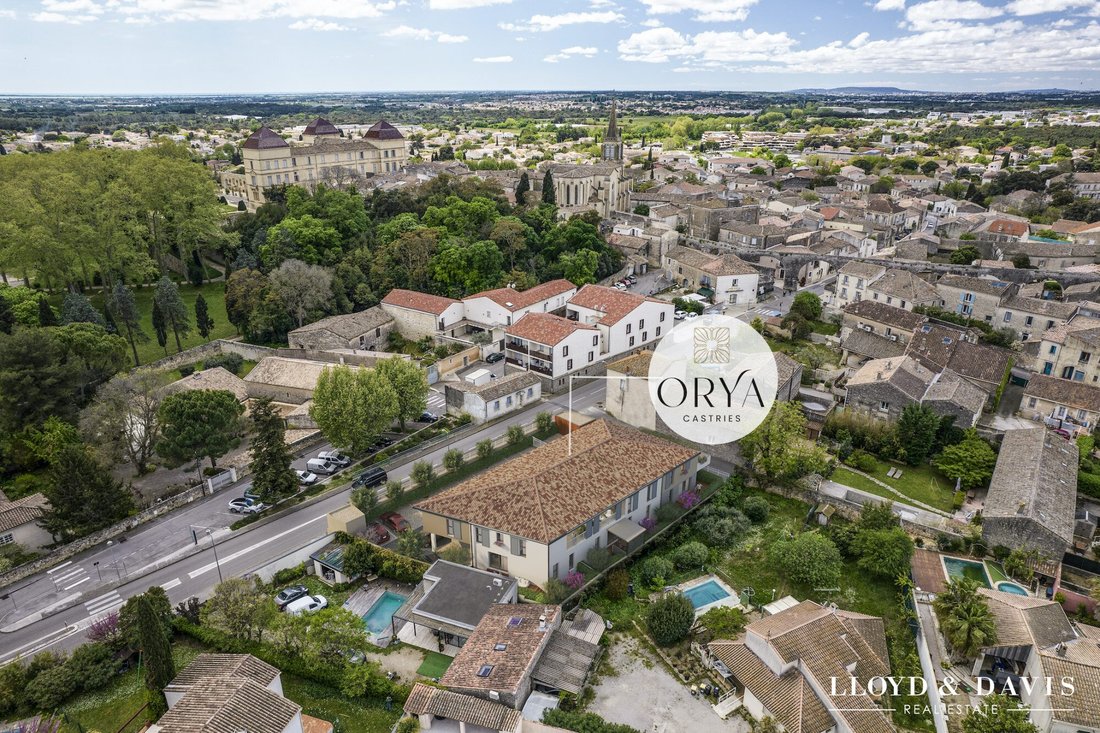 Apartment in Centre Ville, Castries, France 1 - 17024735