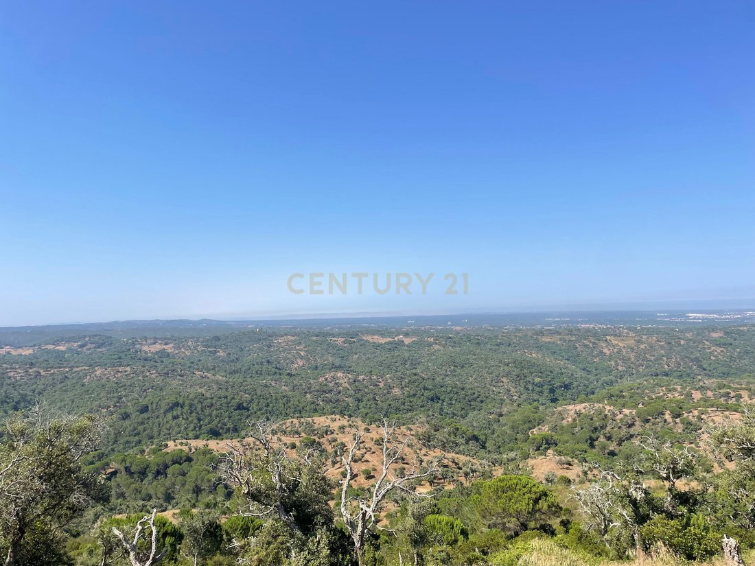 Land in Grandola e Santa Margarida da Serra, Setubal, Portugal 5 - 14648654