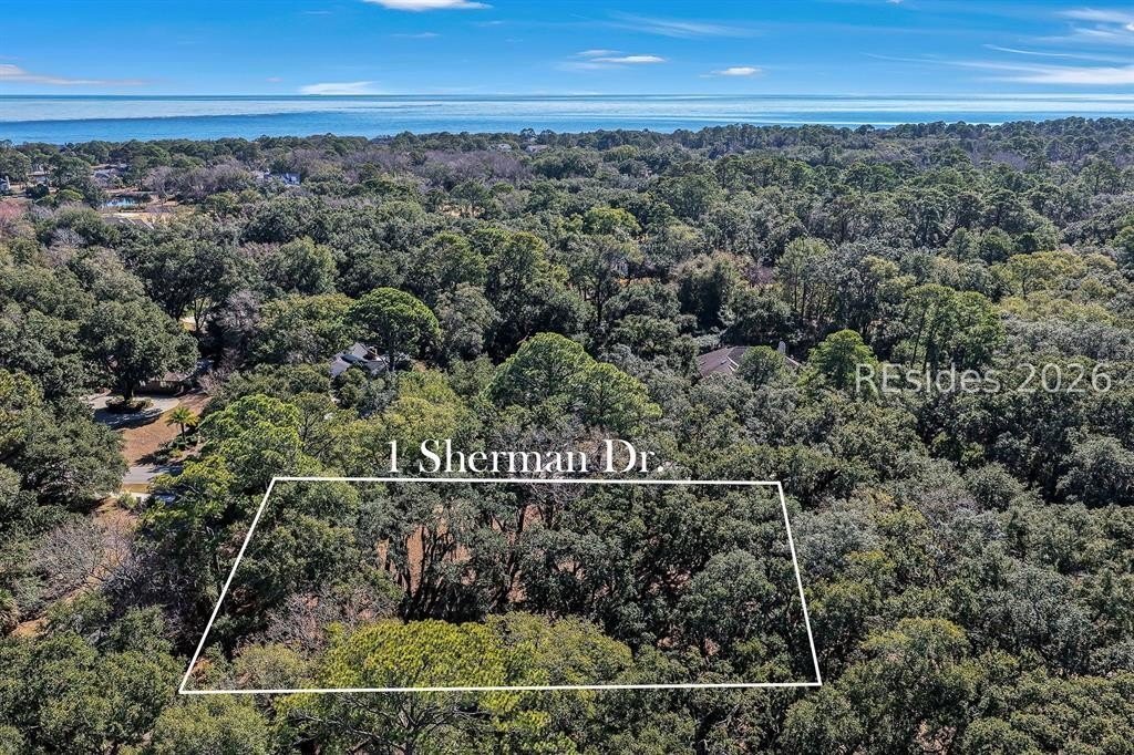 House in Hilton Head Island, South Carolina, United States 2 - 17024279