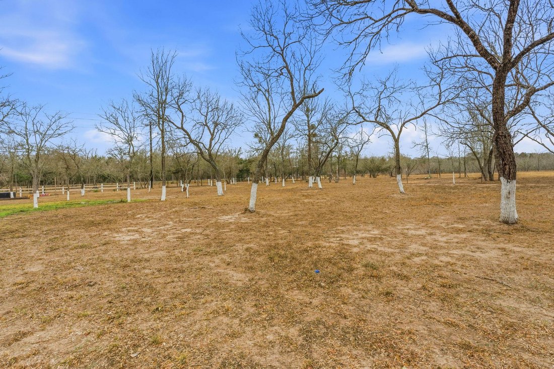 Cedar Creek, Texas, United States 5 - 17022444