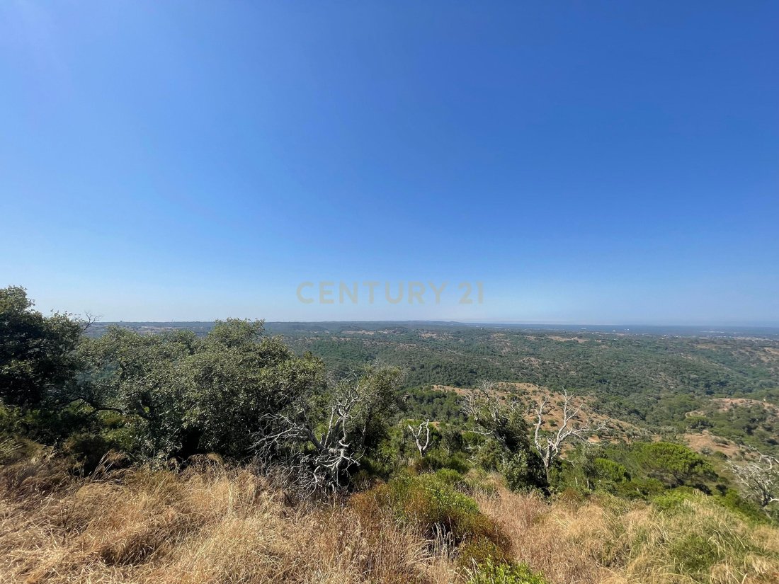 Land in Grandola e Santa Margarida da Serra, Setubal, Portugal 4 - 14648654