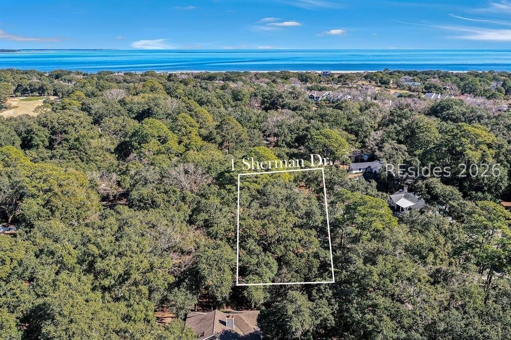House in Hilton Head Island, South Carolina, United States 3 - 17024279