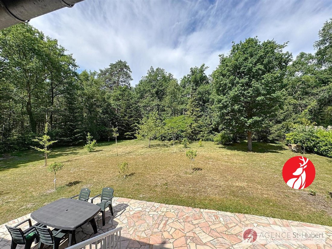 House in Barbizon, Ile-de-France, France 3 - 17025246