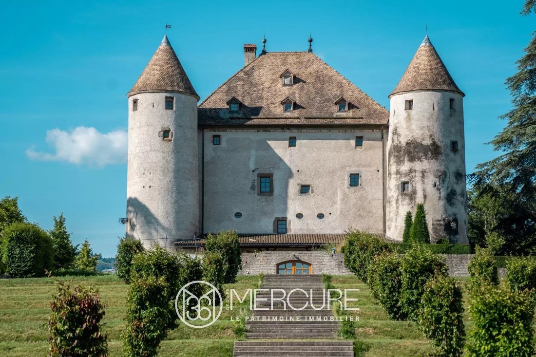 Schloss in Bons-en-Chablais, Auvergne-Rhone-Alpen, Frankreich 2 - 13813368