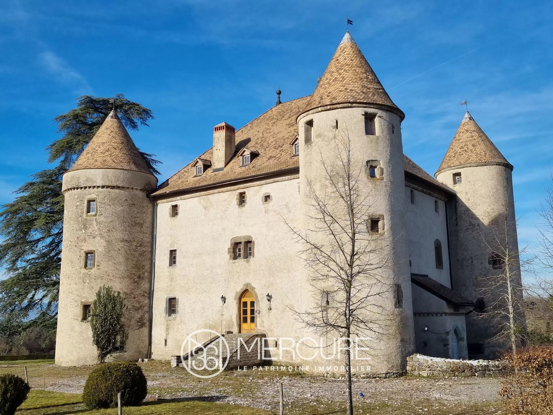 Schloss in Bons-en-Chablais, Auvergne-Rhone-Alpen, Frankreich 4 - 13813368