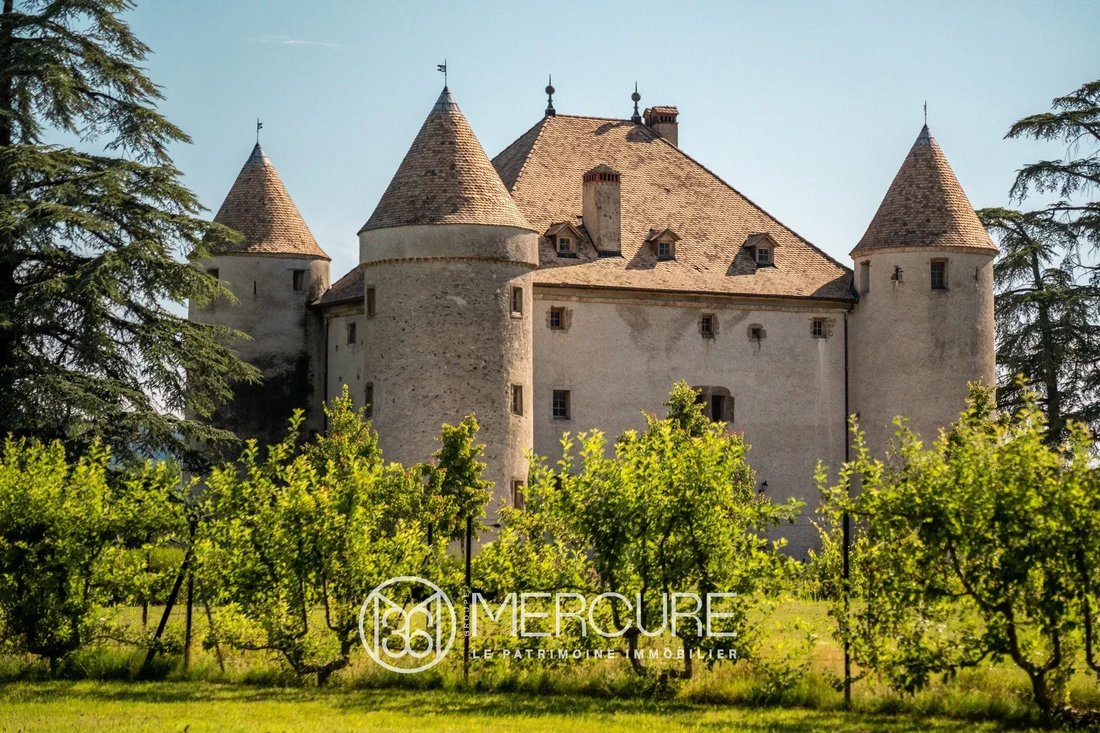 Schloss in Bons-en-Chablais, Auvergne-Rhone-Alpen, Frankreich 1 - 13813368
